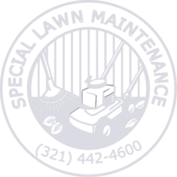 Special Lawn Maintenance